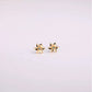 Three Edimensional Birth Flower Earrings
